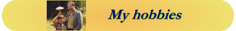 banner-hobbies.jpg (20321 bytes)